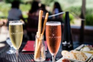 德甲联赛夺冠的球队,探索冠军球队的传奇与竞争德甲联赛夺冠的球队叫什么