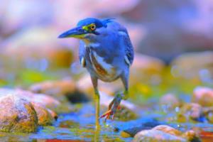 德甲联赛乒乓球2025赛程全解析，赛事规划与亮点预测德甲联赛乒乓球2025赛程