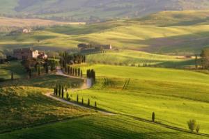 德甲联赛夺冠的球队，探索冠军球队的传奇与竞争德甲联赛夺冠的球队叫什么